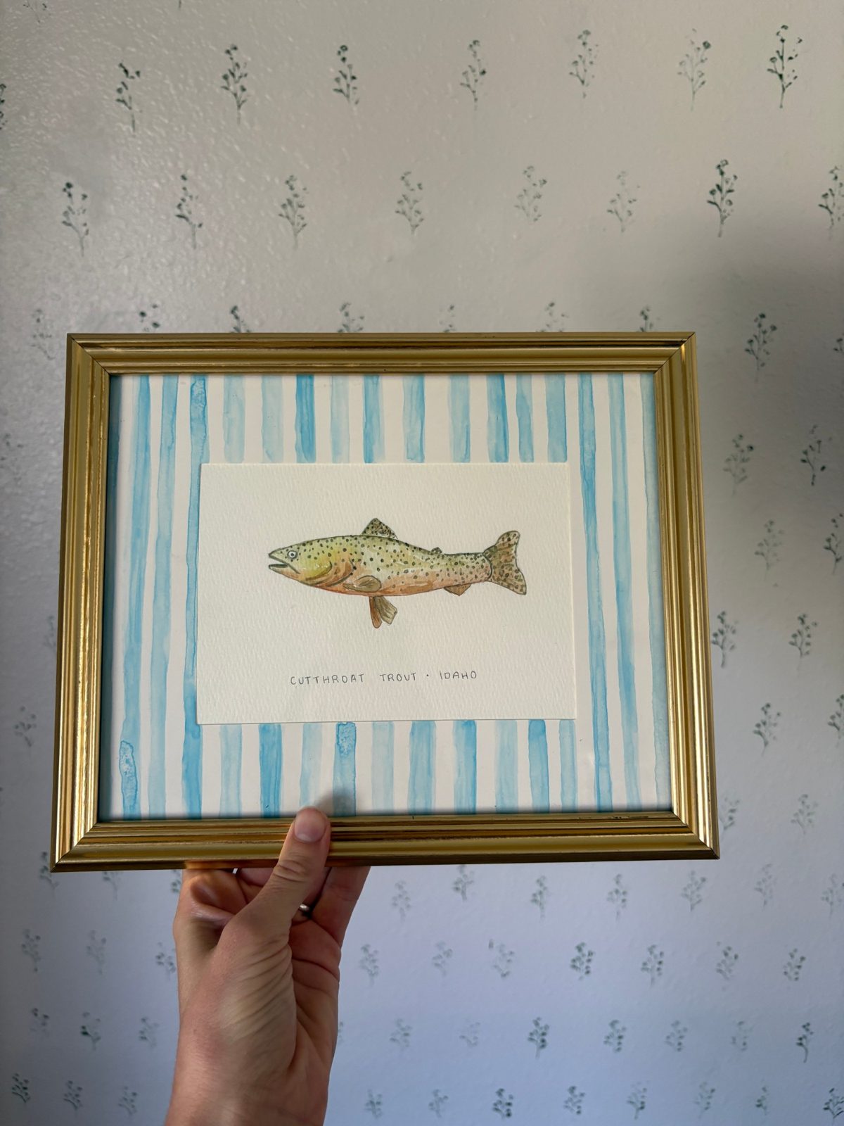 Framed watercolor of a cutthroat trout